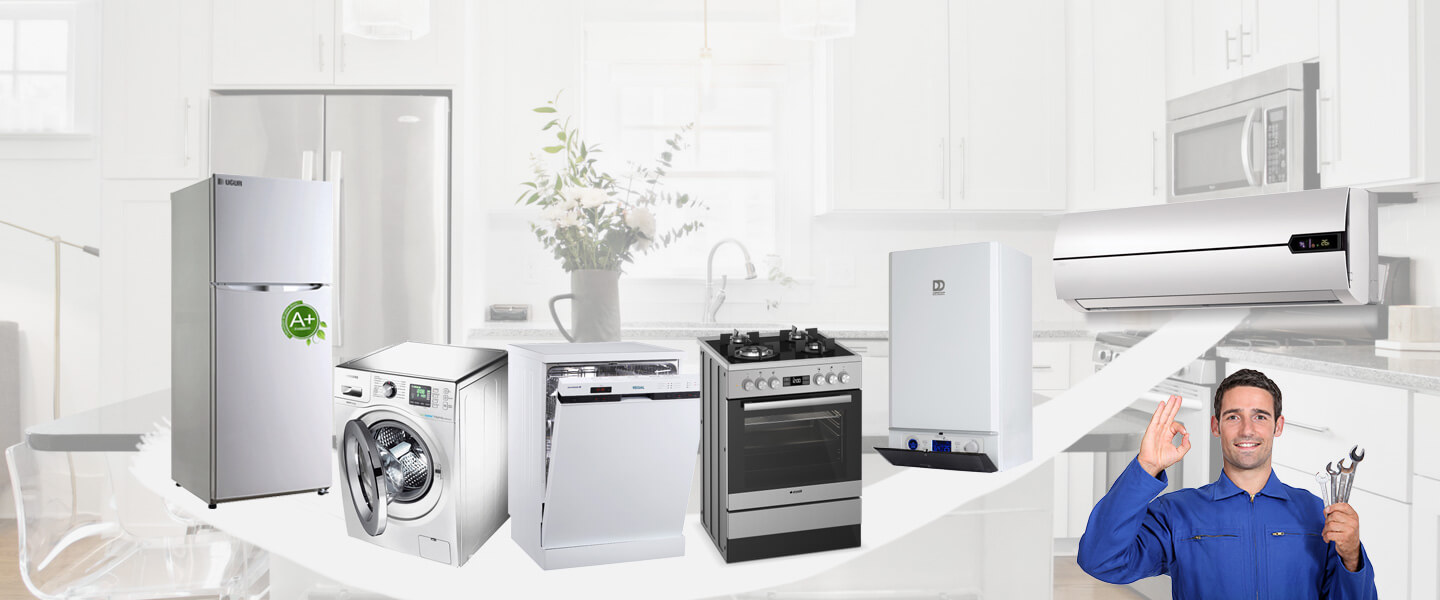 Van Electrolux Servisi